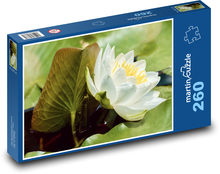 White water lily - flower, aquatic plant Puzzle 260 pieces - 41 x 28.7 cm 