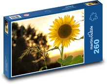 Slnečnica - kvetinové pozadie Puzzle 260 dielikov - 41 x 28,7 cm 
