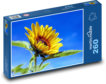 Kvitnúca slnečnica Puzzle 260 dielikov - 41 x 28,7 cm 