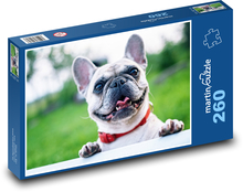 Buldog francuski - Uśmiechnięty pies Puzzle 260 elementów - 41x28,7 cm