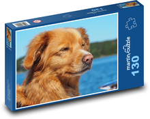 Golden Retriever by the Water Puzzle 130 pieces - 28.7 x 20 cm 