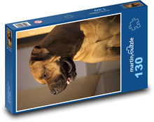 Portrét psa v interiéru Puzzle 130 dílků - 28,7 x 20 cm