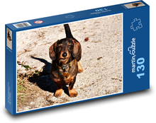 Roztomilý jazvečík na prechádzke Puzzle 130 dielikov - 28,7 x 20 cm 