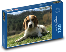 Beagle spoczywający w trawie Puzzle 130 elementów - 28,7x20 cm