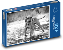 Lovecký pes v rieke, rhodézsky ridgeback Puzzle 130 dielikov - 28,7 x 20 cm 