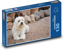 Biały futrzany pies na podwórku Puzzle 130 elementów - 28,7x20 cm