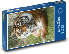 Wachsamer Tiger Puzzle 130 Teile - 28,7x20 cm