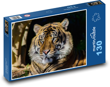 Ein im Schatten ruhender Tiger Puzzle 130 Teile - 28,7x20 cm