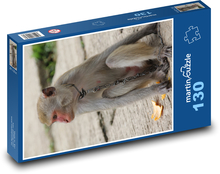 Makakowata małpa z łańcuchem na szyi Puzzle 130 elementów - 28,7x20 cm
