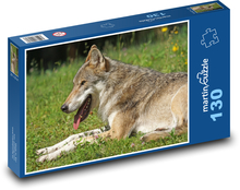 Ein Wolf ruht auf einer Wiese Puzzle 130 Teile - 28,7x20 cm