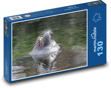 Sea ​​lion nose peeking out of the water Puzzle 130 pieces - 28.7 x 20 cm 