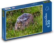 Im Gras versteckter Hase Puzzle 130 Teile - 28,7x20 cm
