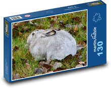Szary królik siedzący na zaatakowanych liściach Puzzle 130 elementów - 28,7x20 cm