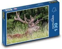 Majestátny jeleň v tráve Puzzle 130 dielikov - 28,7 x 20 cm 