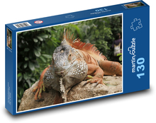 Leguán vyhrievajúci sa na kameni Puzzle 130 dielikov - 28,7 x 20 cm 