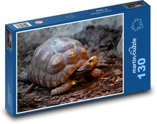 Suchozemská želva v přírodě Puzzle 130 dílků - 28,7 x 20 cm