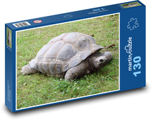 Želva s krunýřem Puzzle 130 - 28,7x20 cm