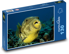 Ryby Puzzle 130 dielikov - 28,7 x 20 cm 