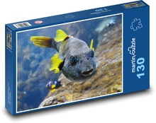 Gelbflossenfisch Puzzle 130 Teile - 28,7x20 cm