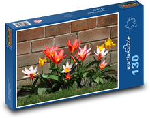 Tulipány u cihlové zdi Puzzle 130 dílků - 28,7 x 20 cm