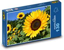 Pole slunečnic Puzzle 130 dílků - 28,7 x 20 cm