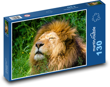 Africký Lev Puzzle 130 dielikov - 28,7 x 20 cm 