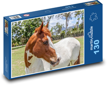 Spotted horse in the pasture, pinto Puzzle 130 pieces - 28.7 x 20 cm 