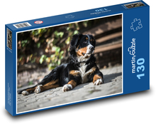 Bernský salašnícky pes odpočívajúci vonku Puzzle 130 dielikov - 28,7 x 20 cm 