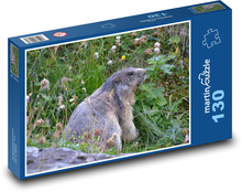Austria - the Alps, the marmot Puzzle 130 pieces - 28.7 x 20 cm 