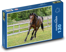 Kôň Puzzle 130 dielikov - 28,7 x 20 cm 