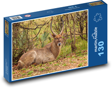 Safari - antilopa Puzzle 130 dílků - 28,7 x 20 cm