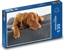 Maďarský stavač krátkosrstý Puzzle 130 dielikov - 28,7 x 20 cm 