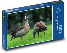 Vodný vták - kačica Puzzle 130 dielikov - 28,7 x 20 cm 