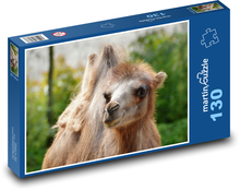 Velbloud  Puzzle 130 dílků - 28,7 x 20 cm