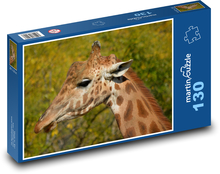 Žirafa - zvíře, savec Puzzle 130 dílků - 28,7 x 20 cm