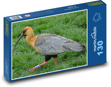 Pták - zobák, zvíře Puzzle 130 dílků - 28,7 x 20 cm