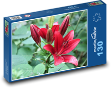 Ľalia - červená, rosa Puzzle 130 dielikov - 28,7 x 20 cm 