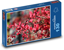 Barberry - shrub, plant Puzzle 130 pieces - 28.7 x 20 cm 