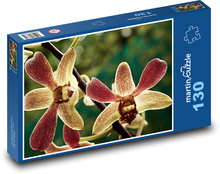 Orchidea - kvet, rastlina Puzzle 130 dielikov - 28,7 x 20 cm 
