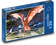 Ibis - červený pták Puzzle 130 dílků - 28,7 x 20 cm