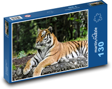 Tiger im Zoo Puzzle 130 Teile - 28,7x20 cm