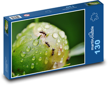 Pfingstrose - Ameisen, Regen Puzzle 130 Teile - 28,7x20 cm