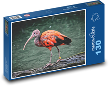 Ibis - vták, mláďa Puzzle 130 dielikov - 28,7 x 20 cm 