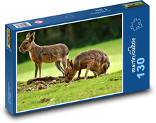 Králicu pampy - zviera, zoo Puzzle 130 dielikov - 28,7 x 20 cm 