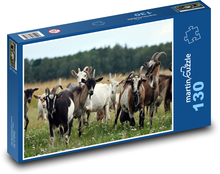Kozy - zvířata, stádo Puzzle 130 dílků - 28,7 x 20 cm