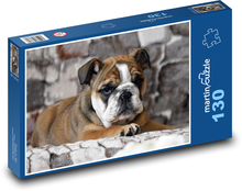 Szczeniak - buldog, pies Puzzle 130 elementów - 28,7x20 cm