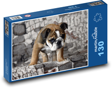 Bulldog - puppy, male Puzzle 130 pieces - 28.7 x 20 cm 