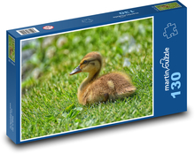 Kachňátko - roztomilé zvíře Puzzle 130 dílků - 28,7 x 20 cm
