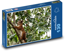 Veverička - hlodavec, zviera Puzzle 130 dielikov - 28,7 x 20 cm 