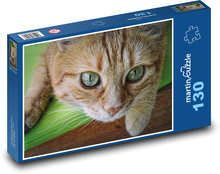 Tygrovaná kočka - kotě, domácí zvíře Puzzle 130 dílků - 28,7 x 20 cm